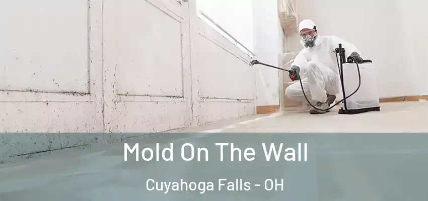 Mold On The Wall Cuyahoga Falls - OH