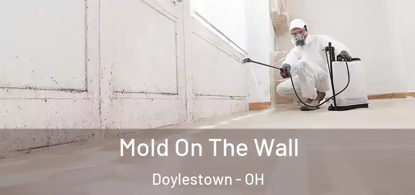 Mold On The Wall Doylestown - OH