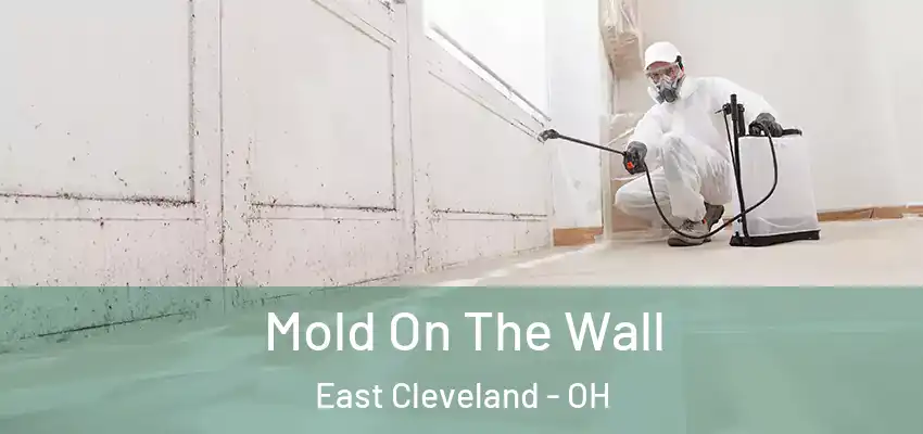  Mold On The Wall East Cleveland - OH