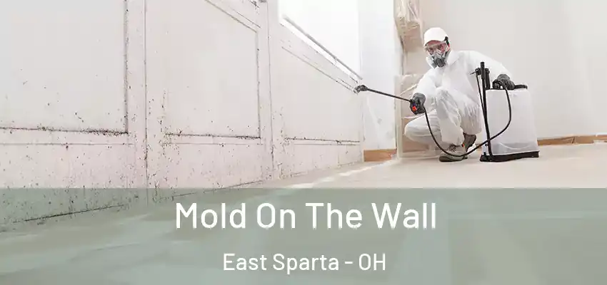 Mold On The Wall East Sparta - OH