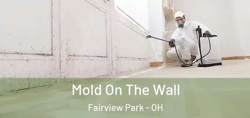 Mold On The Wall Fairview Park - OH