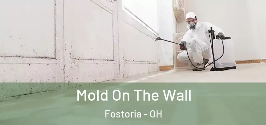 Mold On The Wall Fostoria - OH