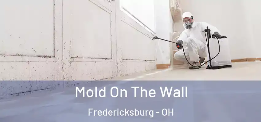  Mold On The Wall Fredericksburg - OH