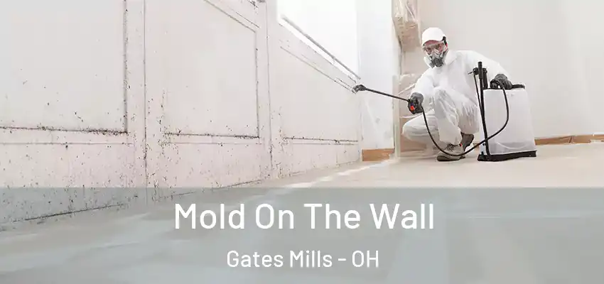 Mold On The Wall Gates Mills - OH