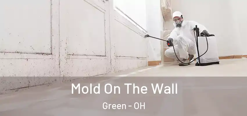  Mold On The Wall Green - OH