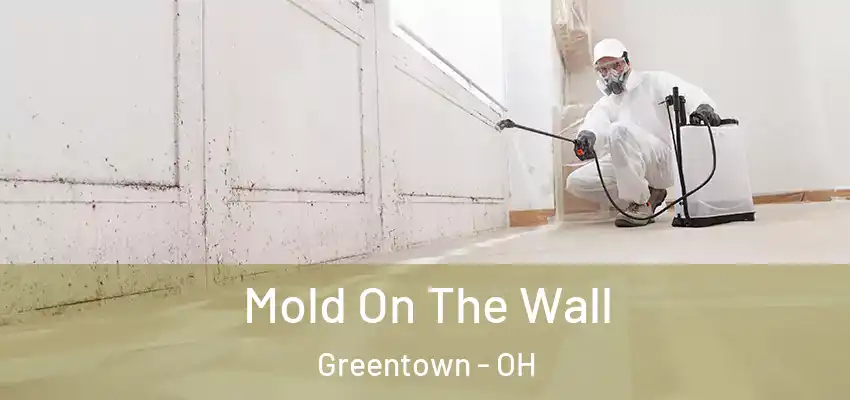 Mold On The Wall Greentown - OH