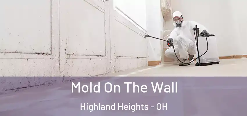  Mold On The Wall Highland Heights - OH