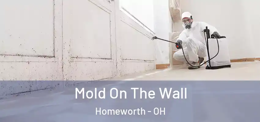Mold On The Wall Homeworth - OH