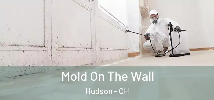  Mold On The Wall Hudson - OH