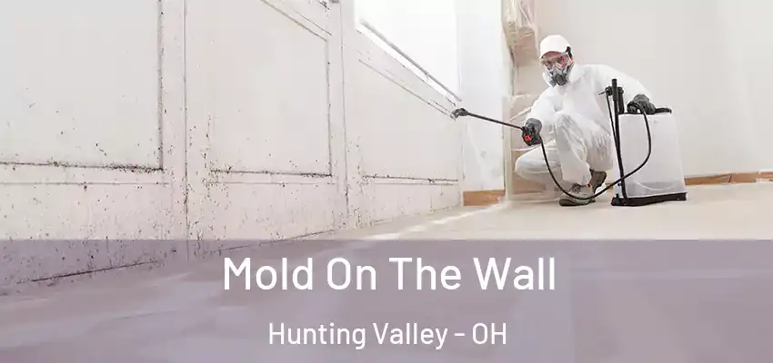  Mold On The Wall Hunting Valley - OH