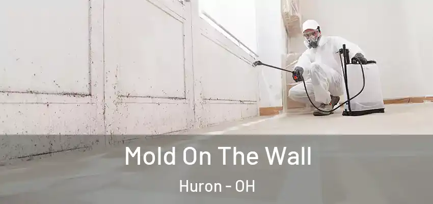 Mold On The Wall Huron - OH