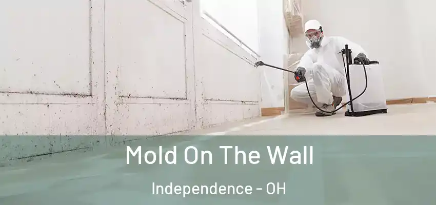Mold On The Wall Independence - OH