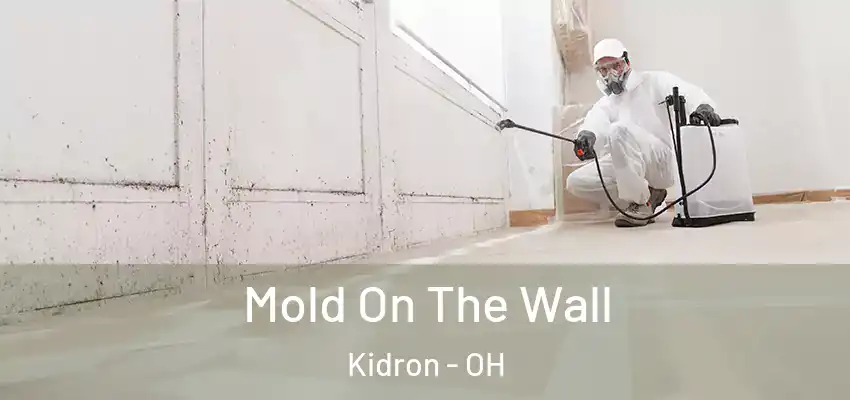 Mold On The Wall Kidron - OH