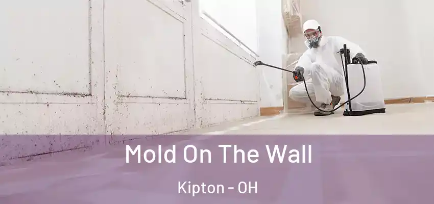 Mold On The Wall Kipton - OH