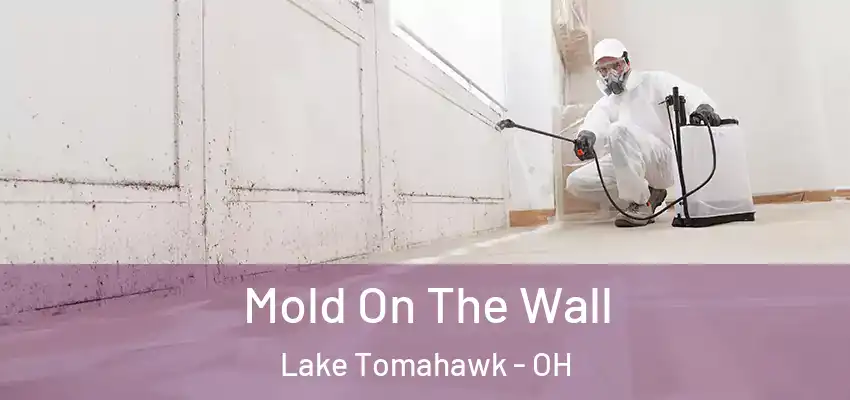Mold On The Wall Lake Tomahawk - OH