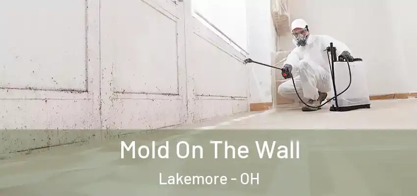  Mold On The Wall Lakemore - OH