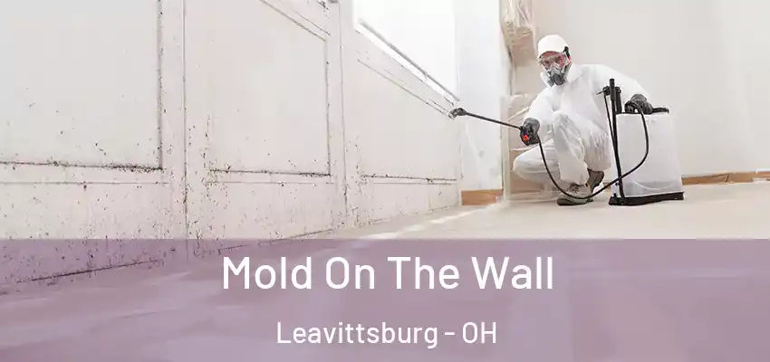 Mold On The Wall Leavittsburg - OH