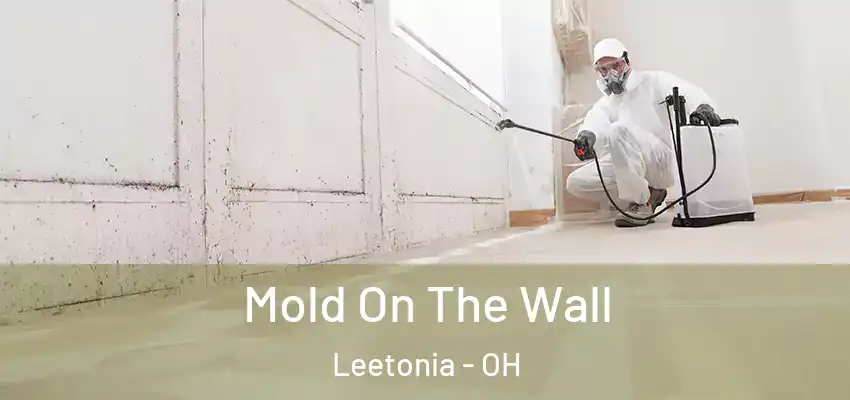  Mold On The Wall Leetonia - OH