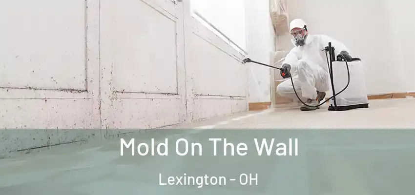  Mold On The Wall Lexington - OH