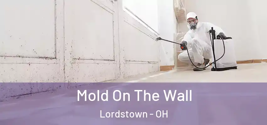Mold On The Wall Lordstown - OH