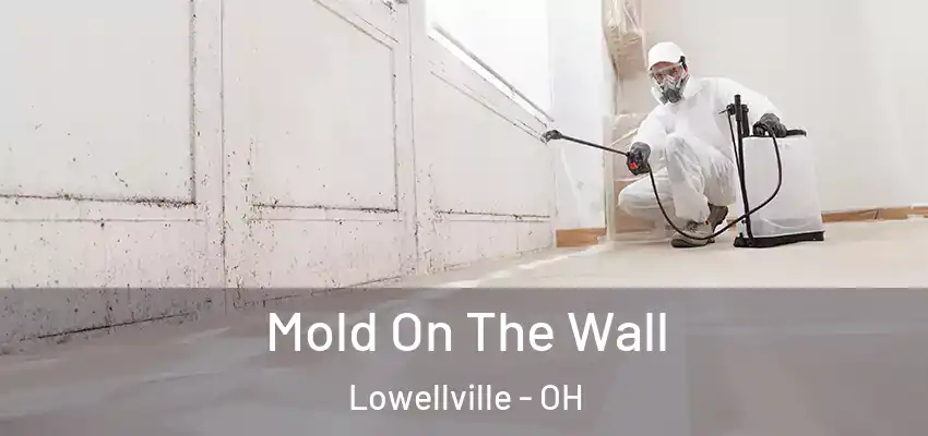  Mold On The Wall Lowellville - OH