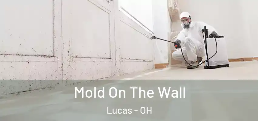  Mold On The Wall Lucas - OH