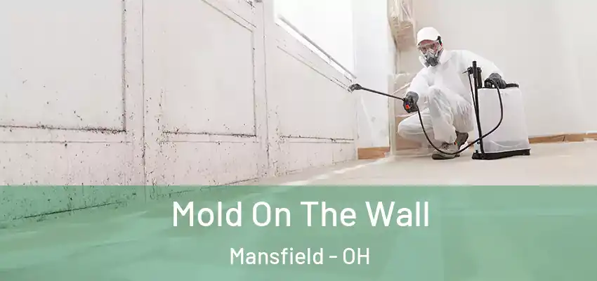  Mold On The Wall Mansfield - OH