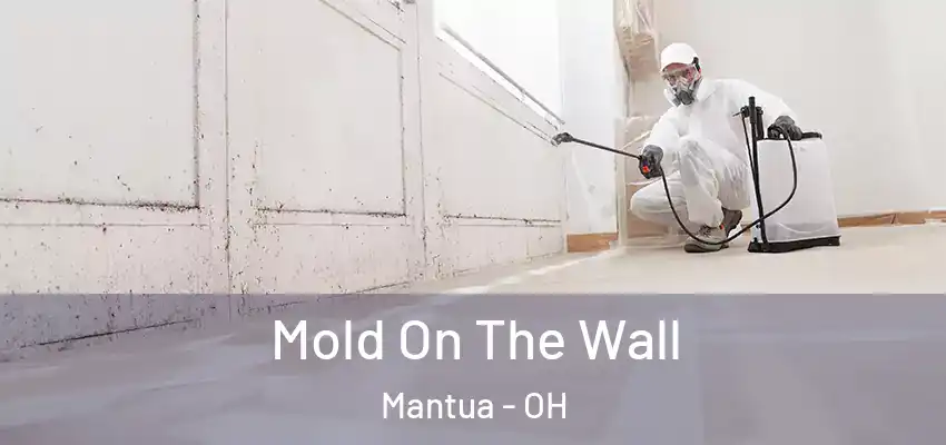Mold On The Wall Mantua - OH