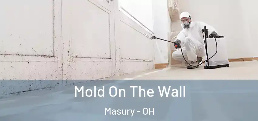 Mold On The Wall Masury - OH