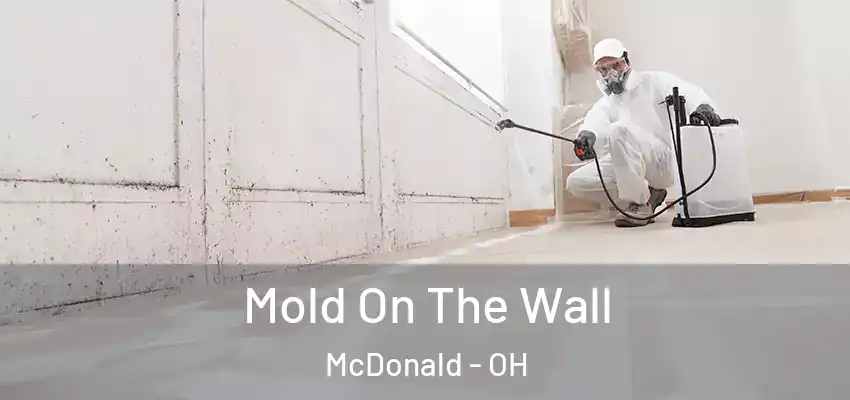 Mold On The Wall McDonald - OH