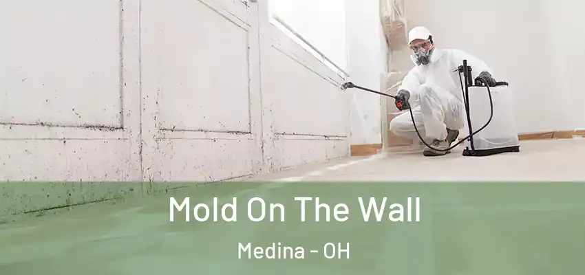Mold On The Wall Medina - OH