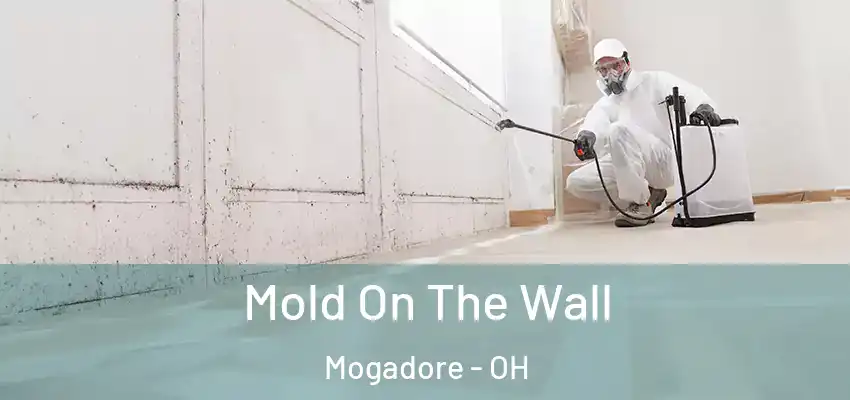 Mold On The Wall Mogadore - OH