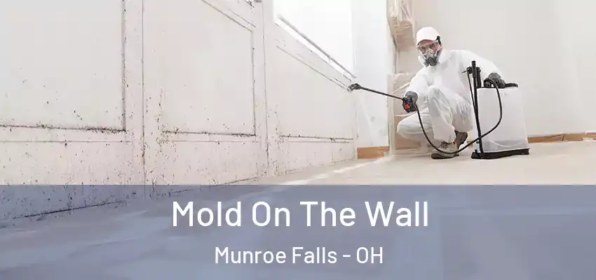  Mold On The Wall Munroe Falls - OH