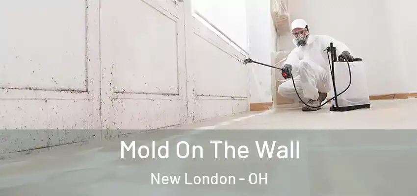  Mold On The Wall New London - OH