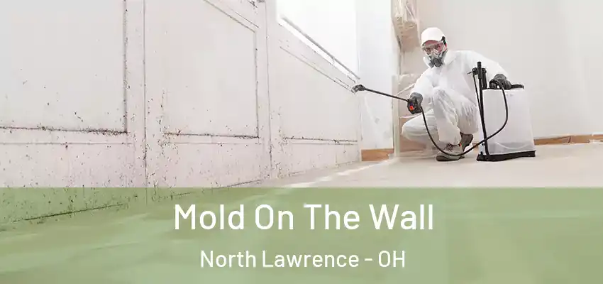  Mold On The Wall North Lawrence - OH