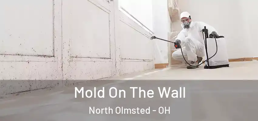 Mold On The Wall North Olmsted - OH
