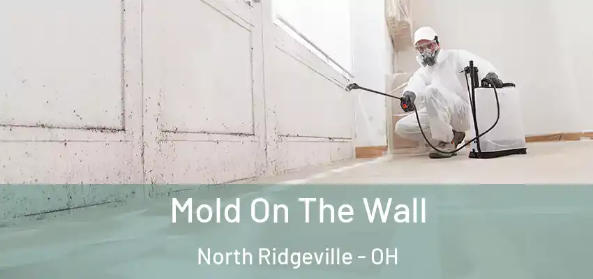  Mold On The Wall North Ridgeville - OH