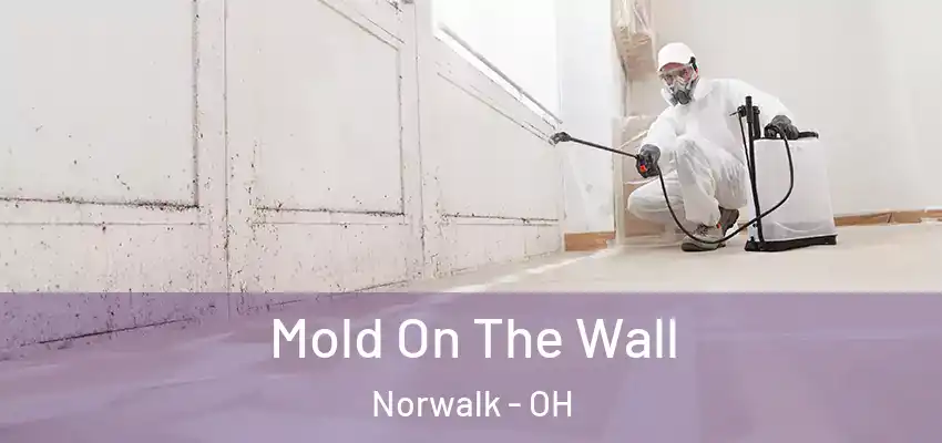  Mold On The Wall Norwalk - OH