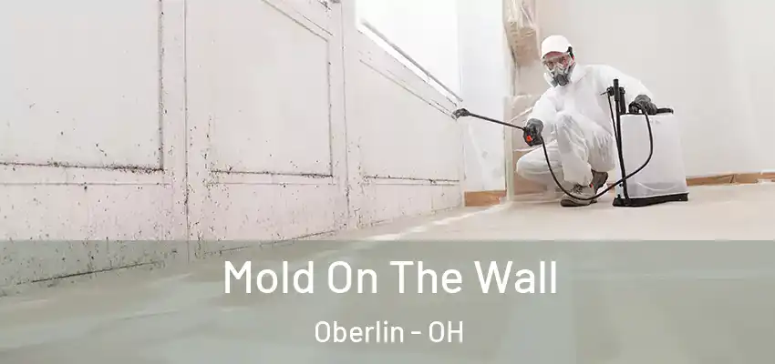  Mold On The Wall Oberlin - OH