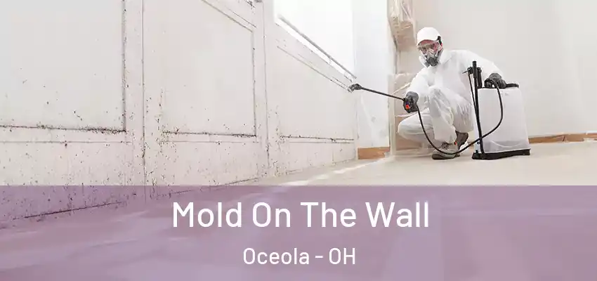 Mold On The Wall Oceola - OH