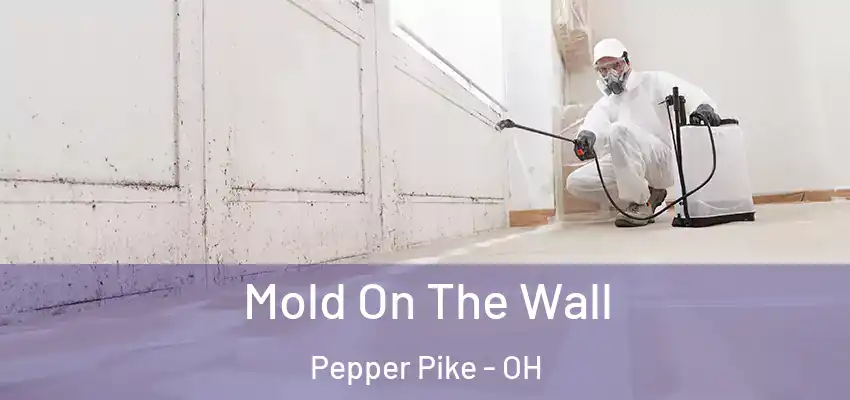 Mold On The Wall Pepper Pike - OH