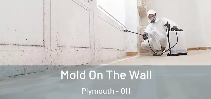  Mold On The Wall Plymouth - OH