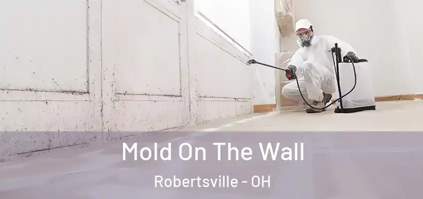 Mold On The Wall Robertsville - OH