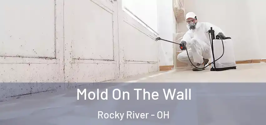 Mold On The Wall Rocky River - OH