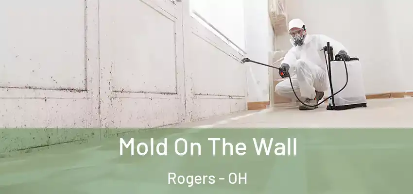 Mold On The Wall Rogers - OH