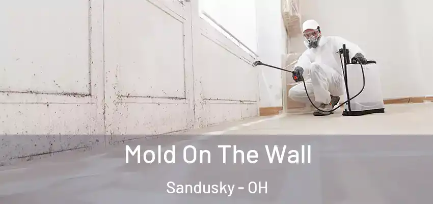 Mold On The Wall Sandusky - OH