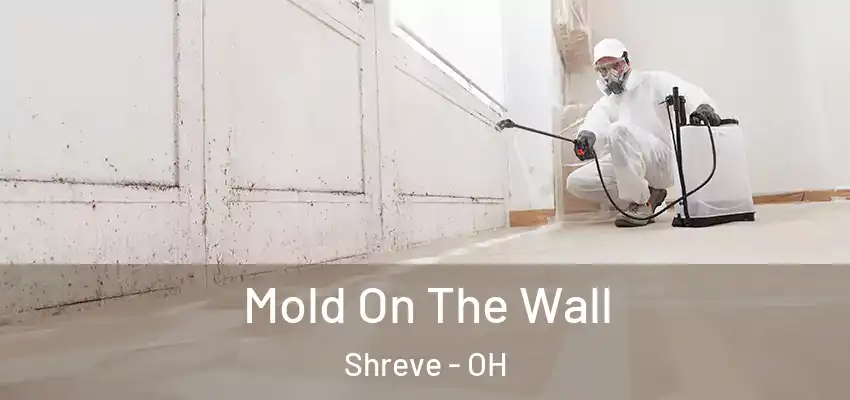  Mold On The Wall Shreve - OH
