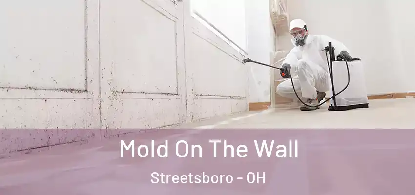 Mold On The Wall Streetsboro - OH