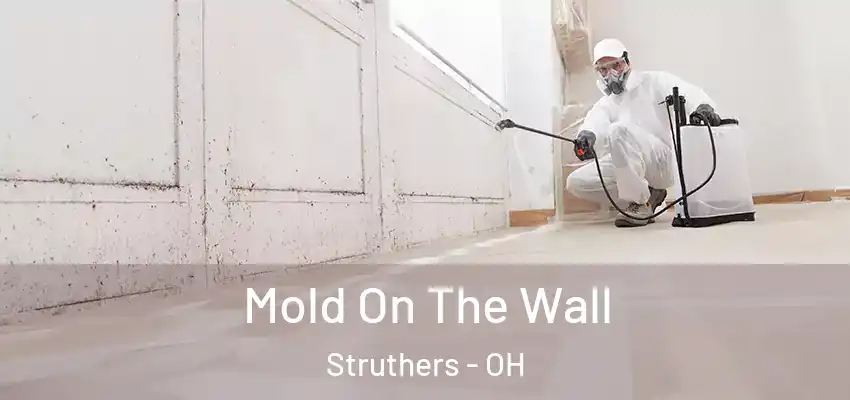  Mold On The Wall Struthers - OH