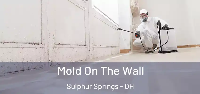  Mold On The Wall Sulphur Springs - OH